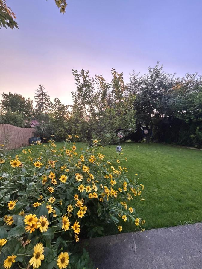 Kisvirag Vendeghaz Villa Balatonvilágos Exteriör bild