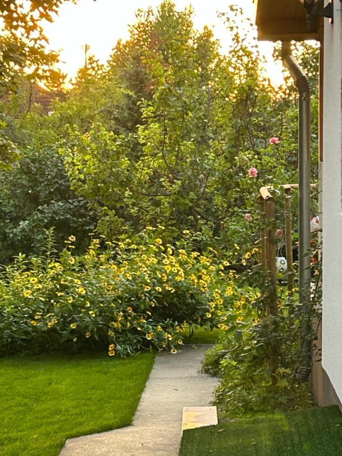 Kisvirag Vendeghaz Villa Balatonvilágos Exteriör bild
