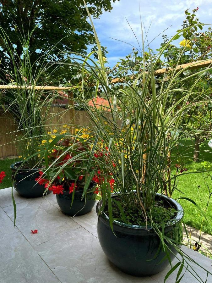 Kisvirag Vendeghaz Villa Balatonvilágos Exteriör bild